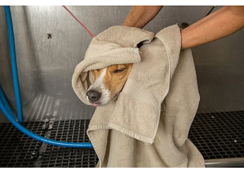 Camp Bow Wow Montgomery - Montgomery, AL Pet Grooming - Service Highlights