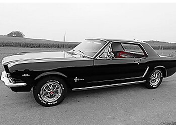 Detroit Car Repair Shops Campus Auto Repair