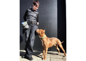 Oakland dog training Canine Comprehensive