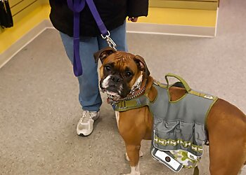 Lincoln Dog Training Canine Consultants & Pet Supply