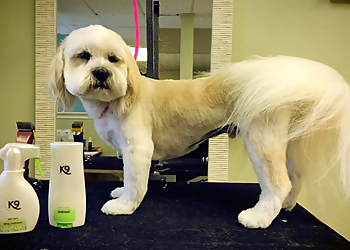 Reno Pet Grooming Canine Design Midtown