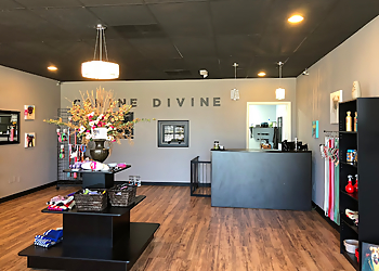 Sterling Heights Pet Grooming Canine Divine LLC