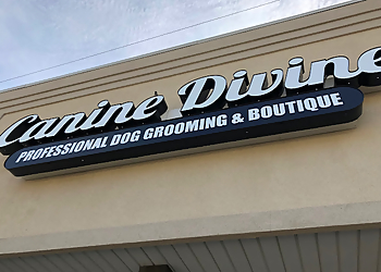 Canine Divine LLC Sterling Heights Pet Grooming image 1