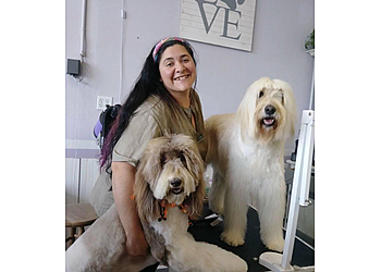 Sunnyvale Pet Grooming Canine Showcase