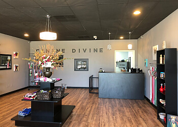 Canine divine LLC Sterling Heights Pet Grooming