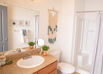 Gainesville Apartments For Rent Canopy