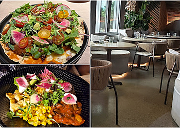 Bellevue Mexican Restaurants Cantina Monarca