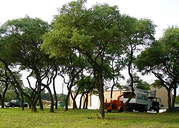 Killeen Tree Services Cantu Tree Trimming Services