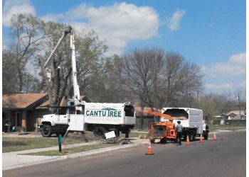 Cantu Tree Trimming Services