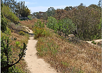Costa Mesa Hiking Trails Canyon Park