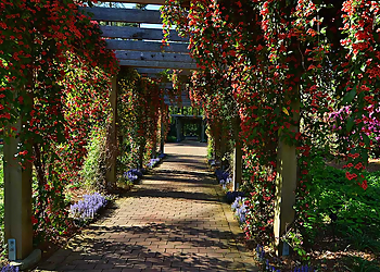 Fayetteville Places To See Cape Fear Botanical Garden