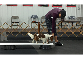 Fayetteville Dog Training Cape Fear Dog Training Club