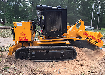 Little Rock Tree Services Capital City Tree Service