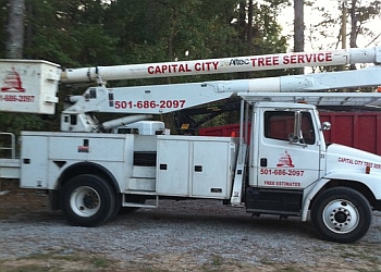 Little Rock tree service Capital City Tree Service
