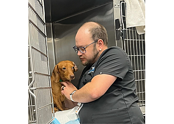 Tallahassee Veterinary Clinics Capital Veterinary Specialists
