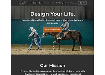 Sacramento Web Designers Capitol Tech Solutions