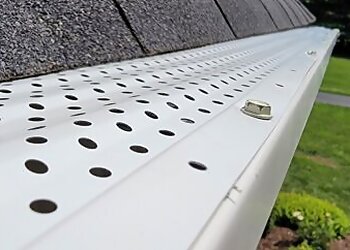 Louisville Gutter Cleaners Cardinal Gutters