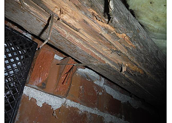 North Charleston Home Inspections Cardinal Home Inspections