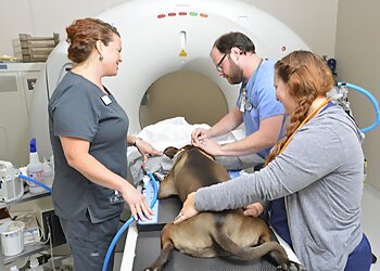 Cincinnati Veterinary Clinics Care Center Cincinnati