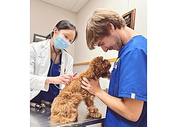 Raleigh Veterinary Clinics Care First Animal Hospital