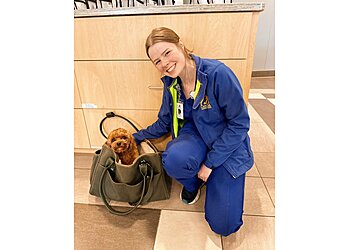 Raleigh Veterinary Clinics Care First Animal Hospital