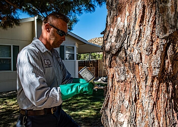 Lancaster Pest Control Companies Care Pest Solutions