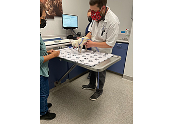 Visalia Veterinary Clinics Care Veterinary Clinic