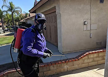 Moreno Valley Pest Control Companies Carey Pest Management