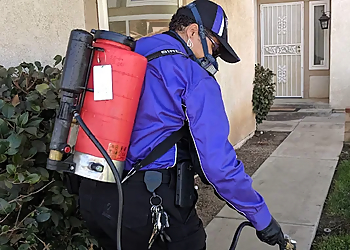 Moreno Valley Pest Control Companies Carey Pest Management