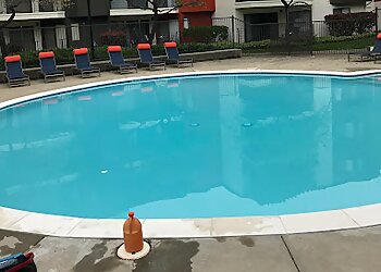 Fremont Pool Services Caribbean Pool Service