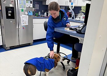 Alexandria Veterinary Clinics Caring Hands Animal Hospital Alexandria