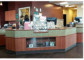 Thornton Veterinary Clinics Caring Hands Veterinary Hospital