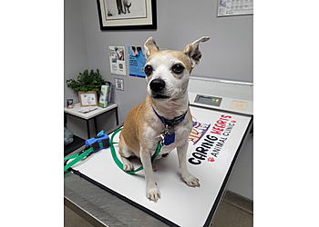 Gilbert Veterinary Clinics Caring Hearts Animal Clinic