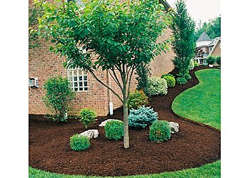 Worcester Lawn Care Services Carlino Landscaping