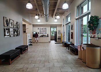 Charlotte Veterinary Clinics Carolina Veterinary Specialists Matthews