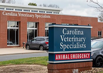 Carolina Veterinary Specialists Matthews Charlotte Veterinary Clinics image 1