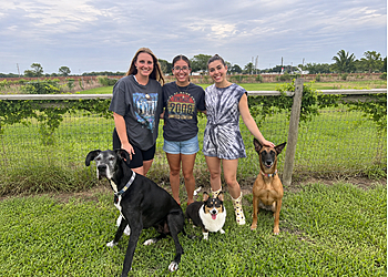 MG Doggies Pet Sitting & Dog Walking - Corpus Christi, TX Dog Walkers - Work Image