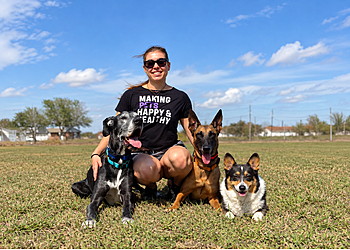 MG Doggies Pet Sitting & Dog Walking MG Doggies Pet Sitting & Dog Walking - Corpus Christi, TX Dog Walkers - Field Work Image