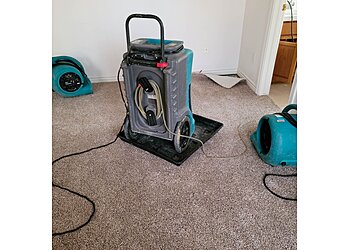 Elizabeth Carpet Cleaners Carpet Cleaning Wizards