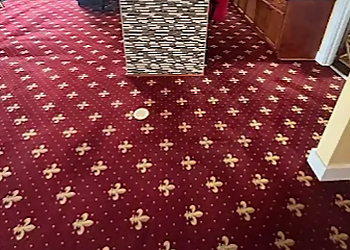 Murfreesboro Carpet Cleaners Carpet Docs