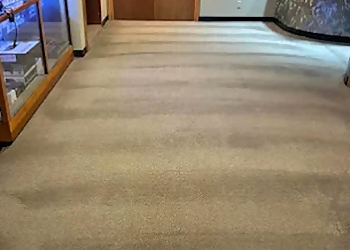 Murfreesboro Carpet Cleaners Carpet Docs