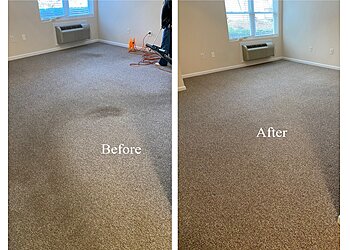 Raleigh Carpet Cleaners Carpet Dryclean Inc.