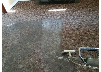 Carpet Star LLC - Buffalo, NY Carpet Cleaners - Field Work Image