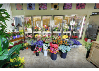 3 Best Florists in Tampa, FL - Expert Recommendations