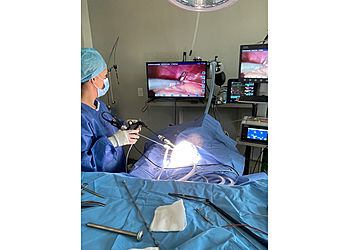 Lafayette Veterinary Clinics Carson Animal Hospital