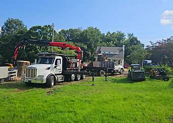 Cary Tree Removal Cary Tree Services image 1