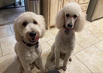 Dallas Veterinary Clinics Casa Linda Animal Clinic