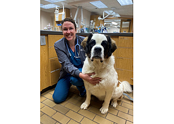 Grand Rapids Veterinary Clinics Cascade Hospital for Animals
