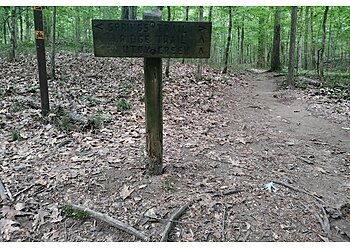 Atlanta Hiking Trails Cascade Springs Nature Preserve