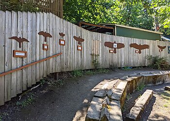 Eugene Places To See Cascades Raptor Center